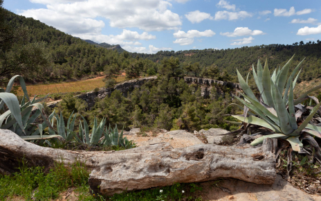 Your holiday home is part of a huge estate